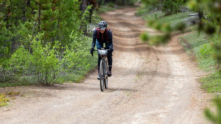 Panier vélo Soldes -Panier vélo Soldes 1 6